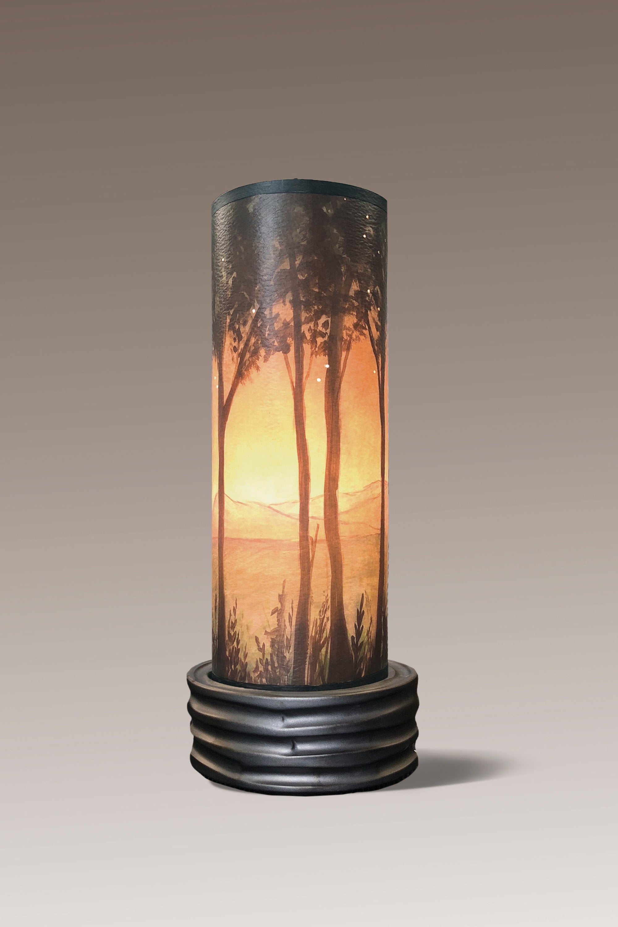 Janna Ugone & Co Luminaires Ceramic Luminaire Accent Lamp with Dawn Shade