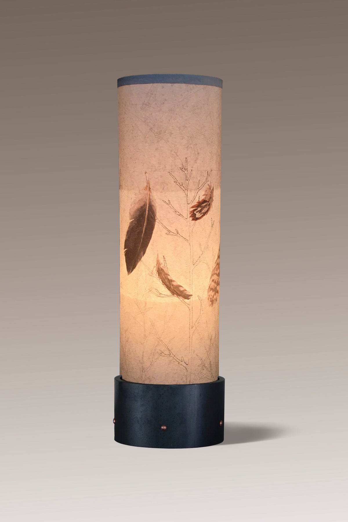 Janna Ugone &amp; Co Luminaires Steel Luminaire Accent Lamp with Feathers in Pebble Shade