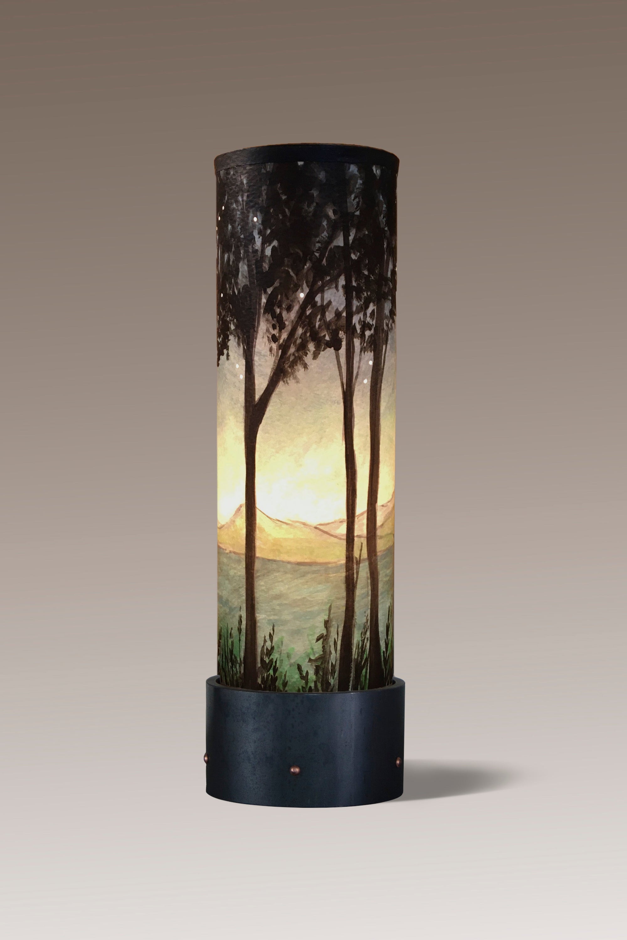 Janna Ugone & Co Luminaires Steel Luminaire Accent Lamp with Twilight Shade