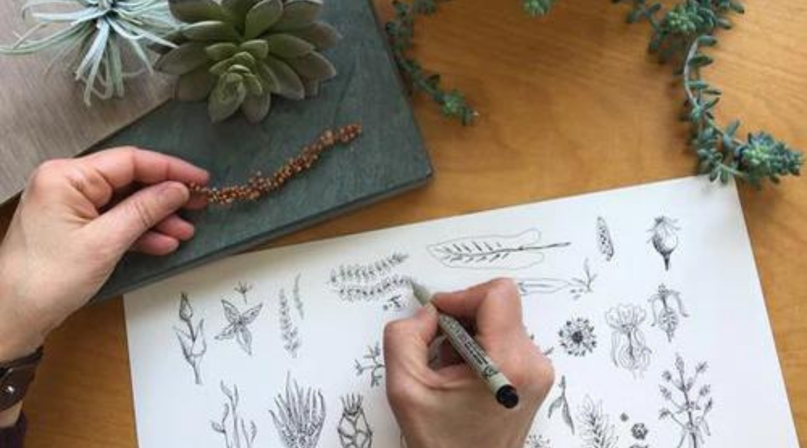 Pods & Springtime and Modern Rustic Lamps