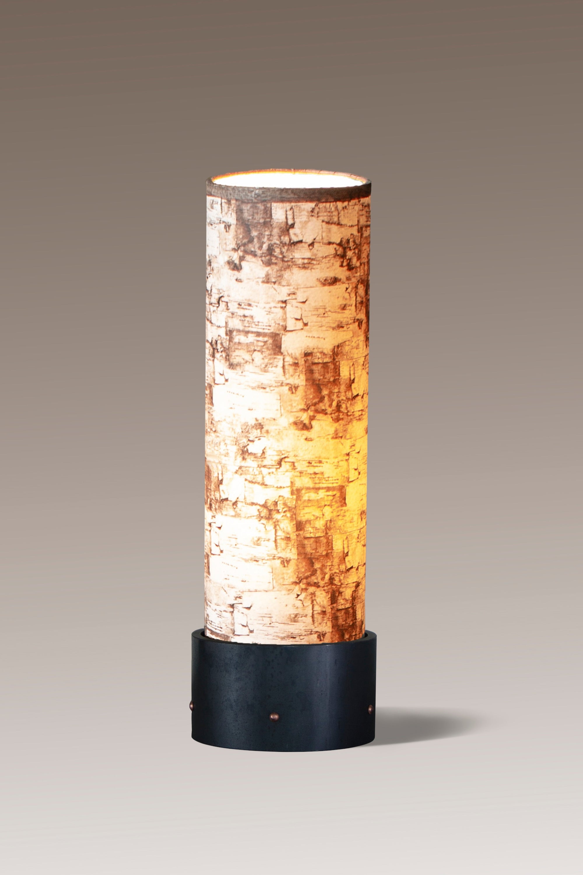 Janna Ugone & Co Luminaires Steel Luminaire Accent Lamp with Birch Bark Shade