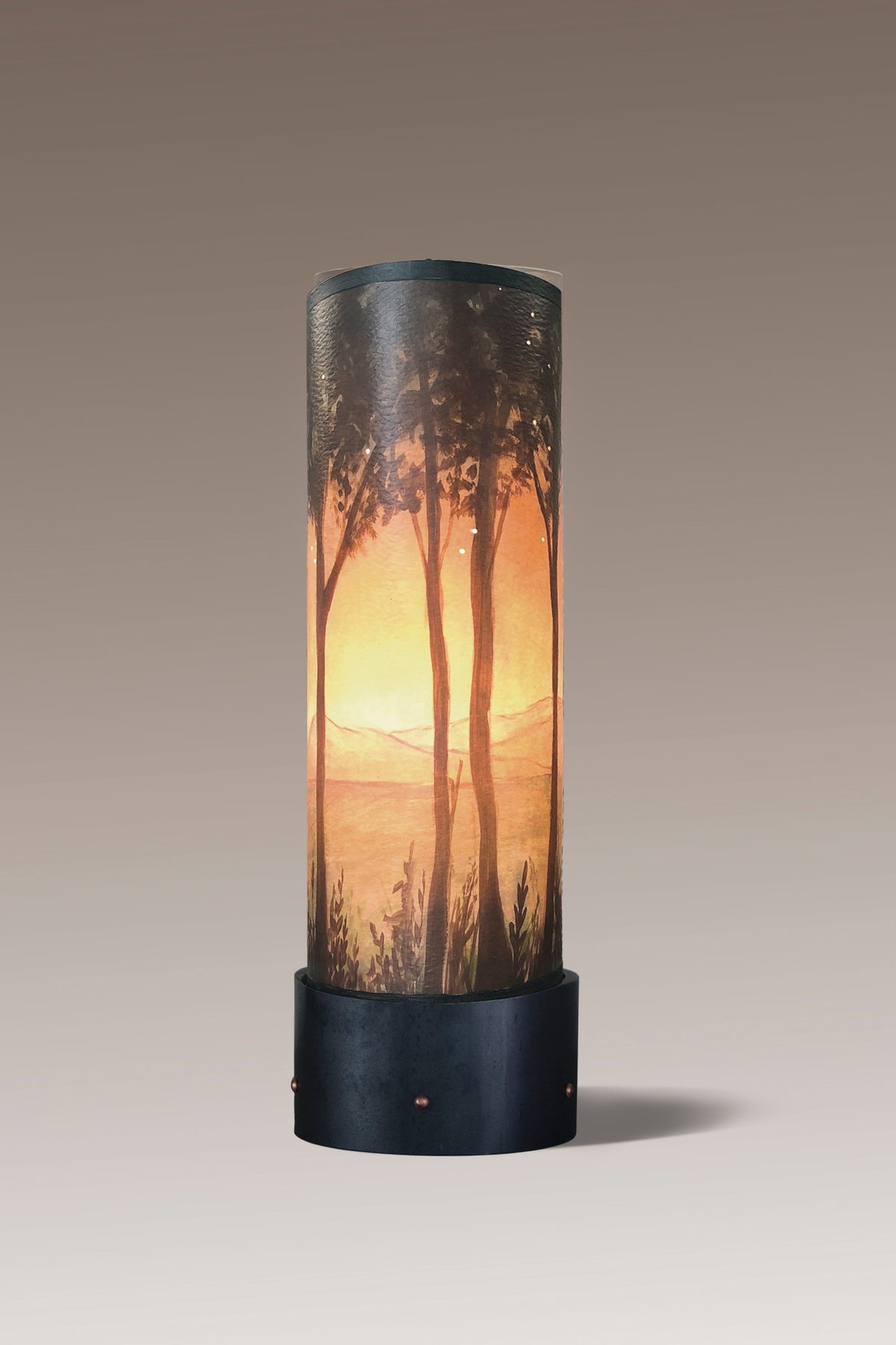 Steel Luminaire Accent Lamp with Dawn Shade