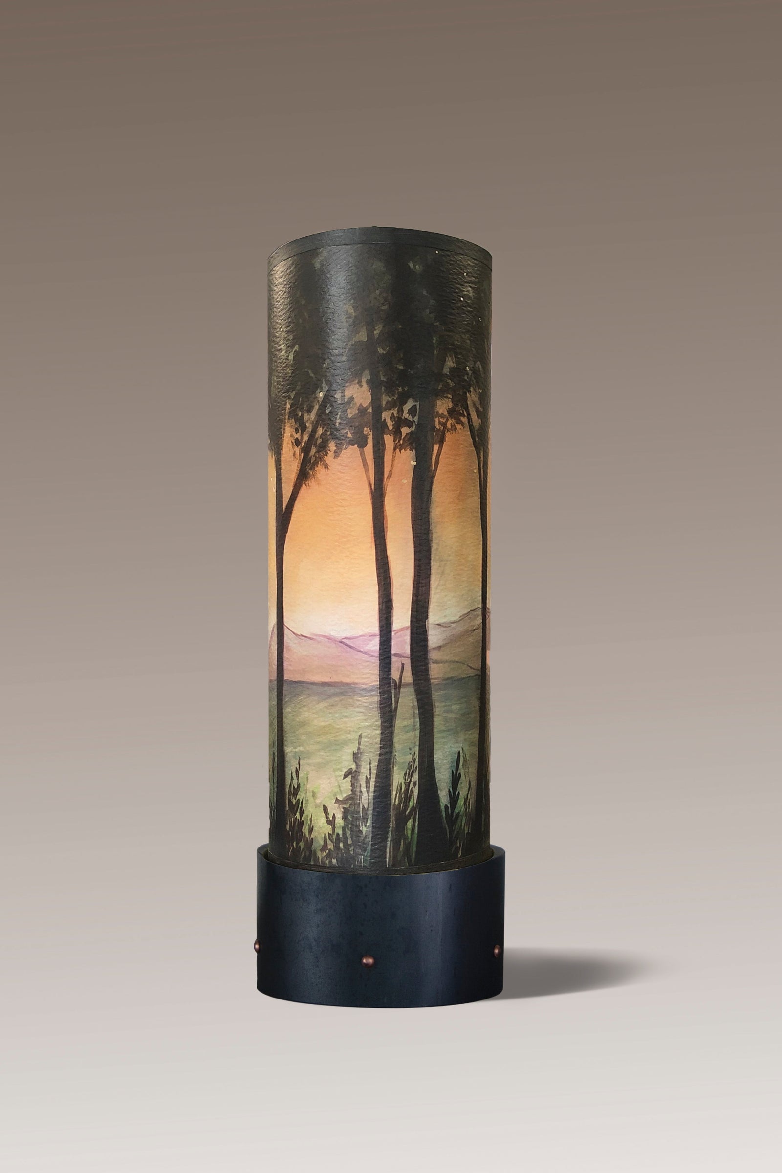 Janna Ugone & Co Luminaires Steel Luminaire Accent Lamp with Dawn Shade