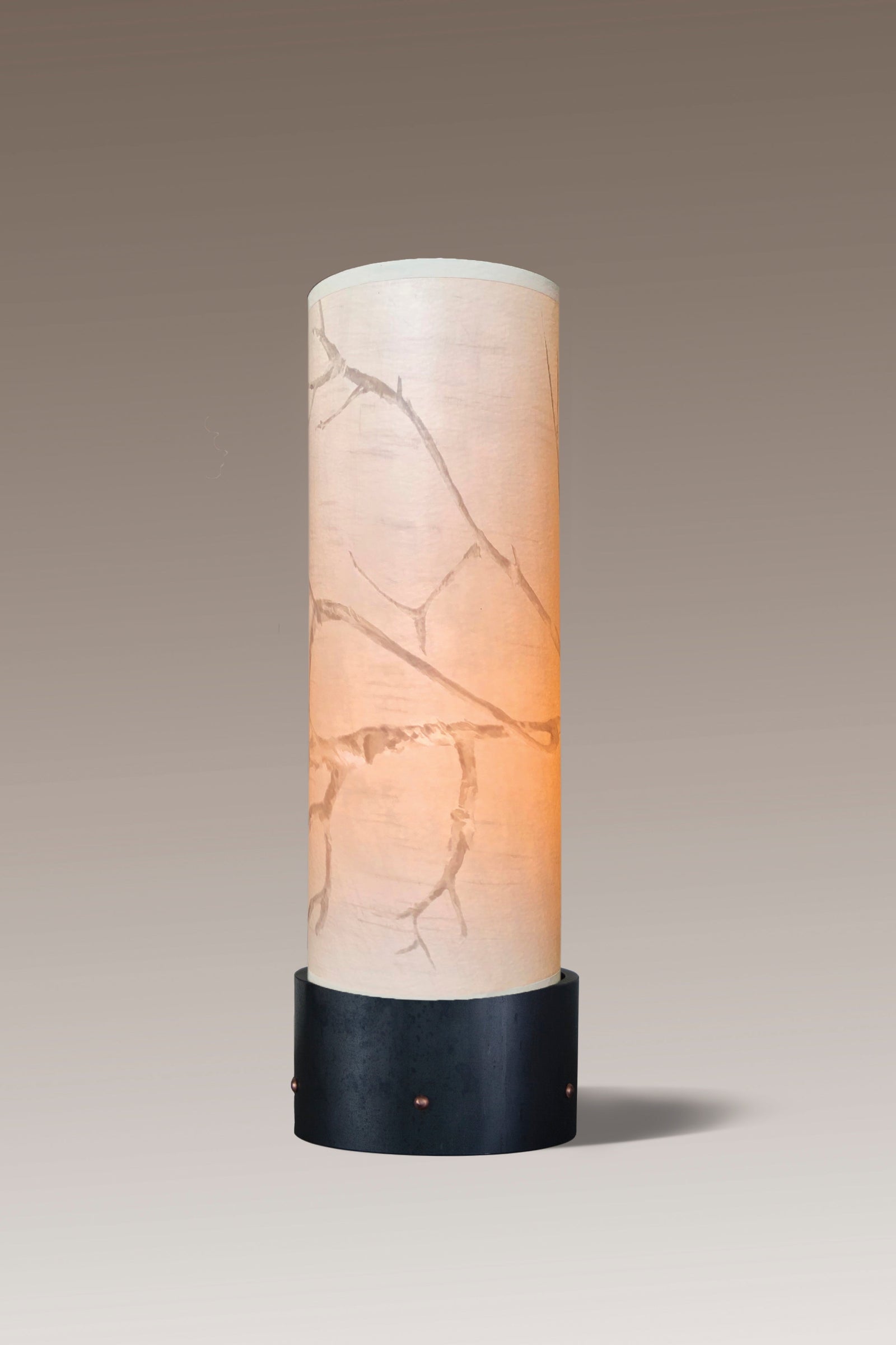 Janna Ugone & Co Luminaires Steel Luminaire Accent Lamp with Sweeping Branch Shade