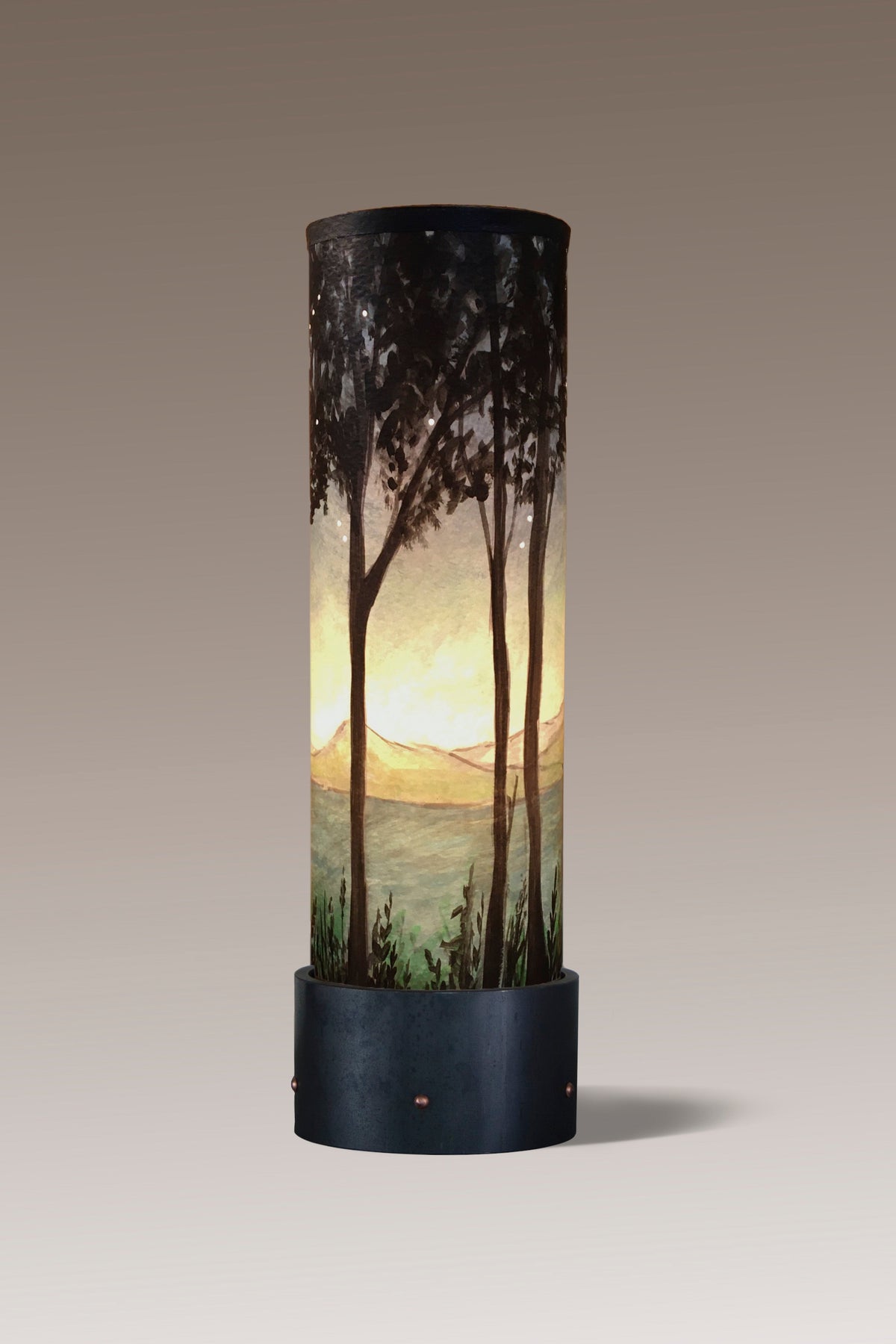 Steel Luminaire Accent Lamp with Twilight Shade